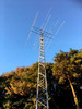 JF1SEK Image